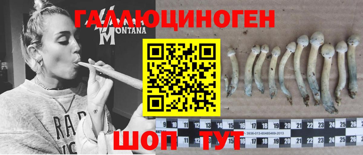что такое наркотик  Вход с VPN  Орск  Псилоцибиновые грибы MAGIC MUSHROOMS 